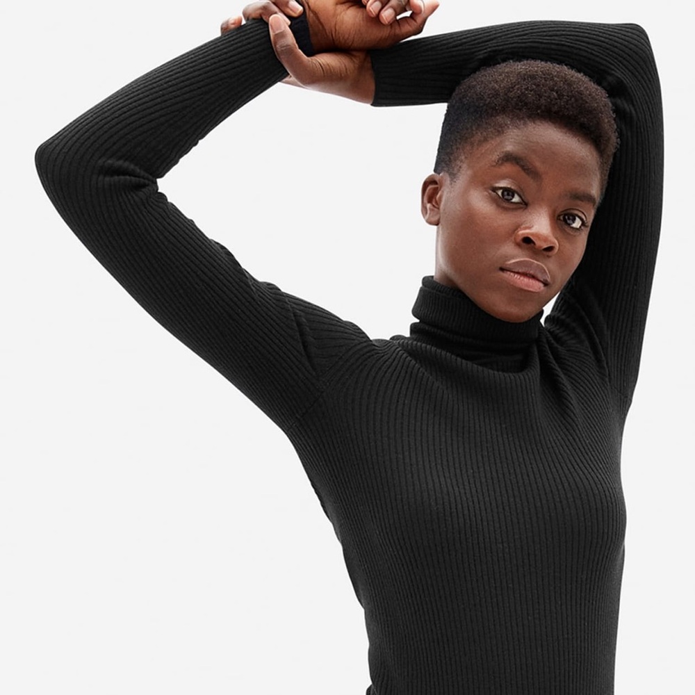 Everlane Italian Merino Rib Turtleneck